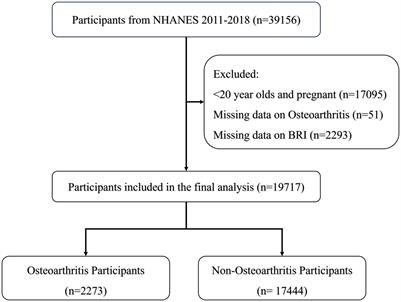 Association between the body roundness index and osteoarthritis: evidence from NHANES